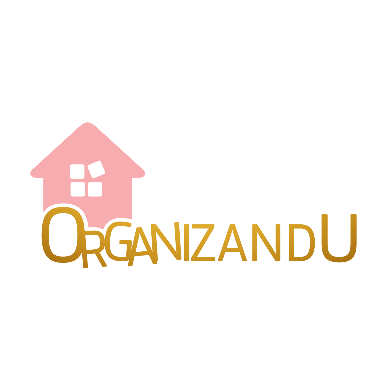 Organizandu - 